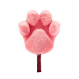 Paleta Artesanal Para Perro - Yogurt Y Frutos Rojos