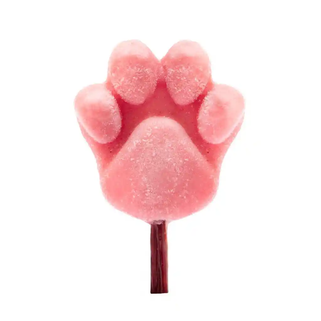 Paleta Artesanal Para Perro - Yogurt Y Frutos Rojos