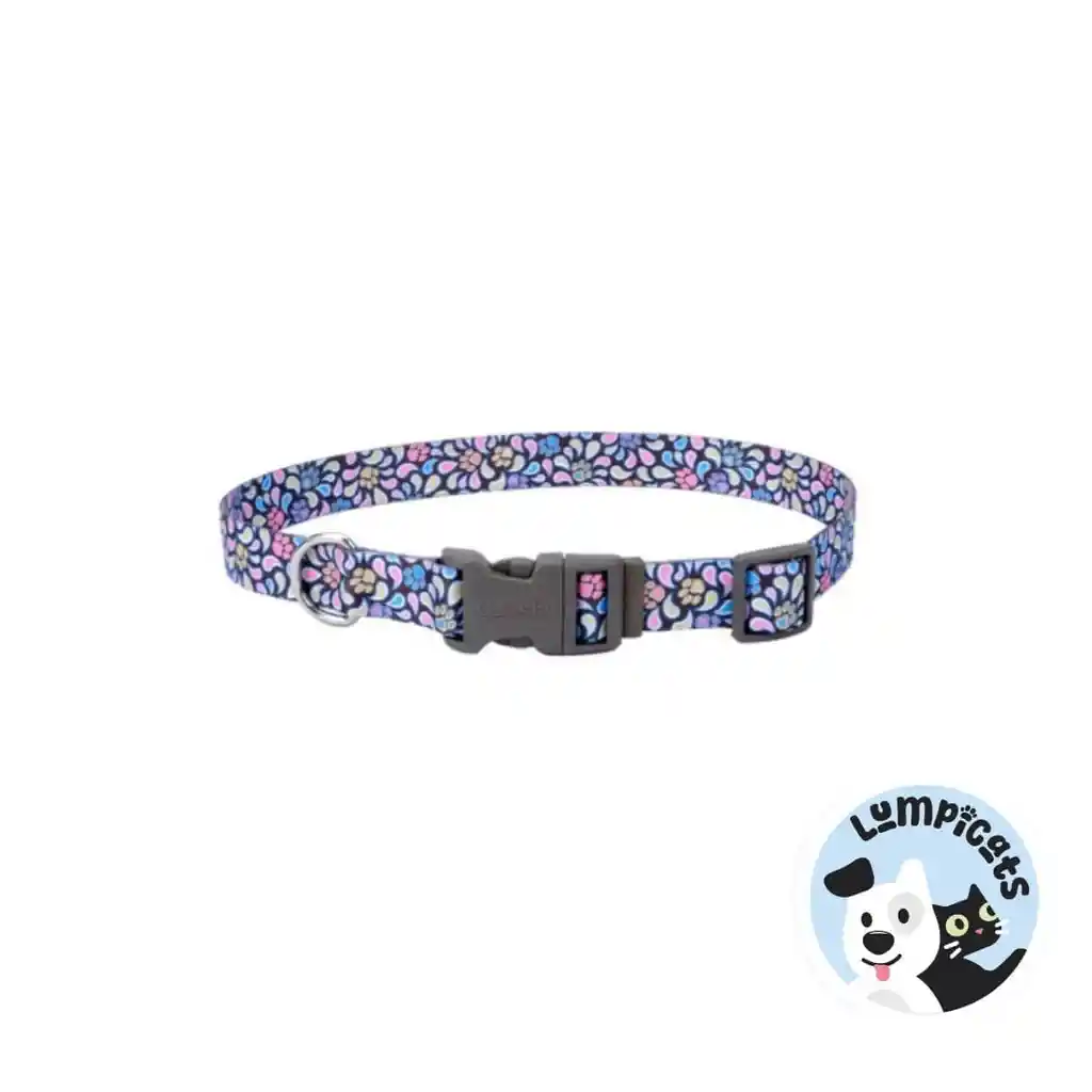 Coastal Perro Styles Huellas Café Collar Large 1"