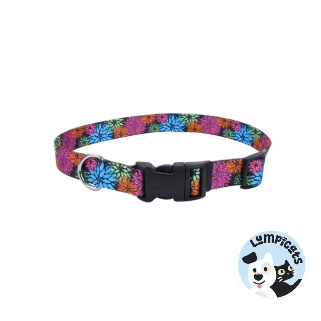 Coastal Perro Styles Flores Negro Collar Small 5/8"