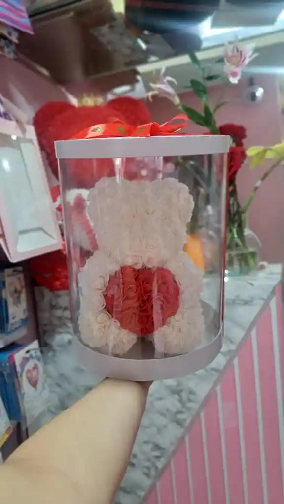 Oso Teddy Eterno 30 Cm