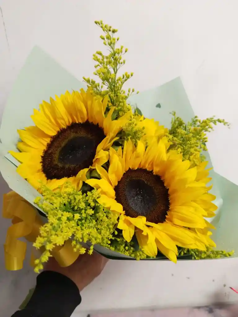 Hermoso Amanecer Bouquet 6 Girasoles