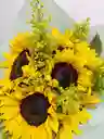 Hermoso Amanecer Bouquet 6 Girasoles