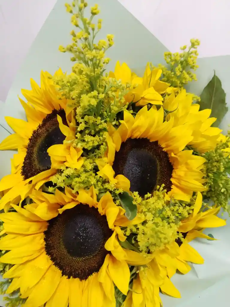 Hermoso Amanecer Bouquet 6 Girasoles