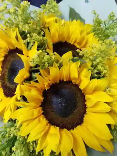 Hermoso Amanecer Bouquet 6 Girasoles