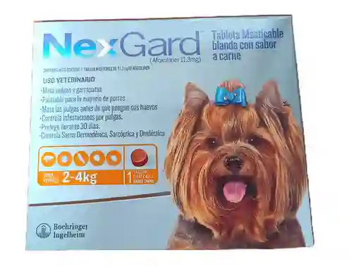 Nexgard Chewable 2-4 Kgs X 1 Dosis