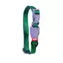 Collar Hulk Talla Xs
