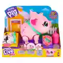 Little Live Pets Cerdito