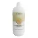 Shampoo Alterego Linseed Light 1l