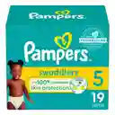 Pampers Pañales Swaddlers Talla 5