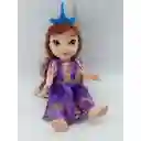 Juguete Muñeca Princesa Luz Y Sonido Con Accesorios 35 Cm