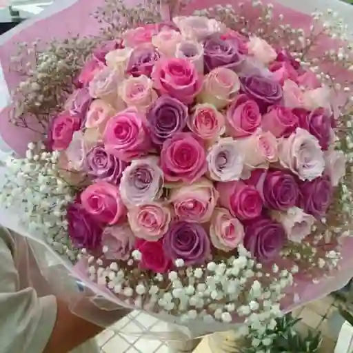 Rosas Dulce Encanto