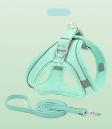 Arnés Para Perro Con Traílla Nobuck Talla M Color Verde Menta