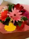 Bouquet Arco Iris 6 Gerberas