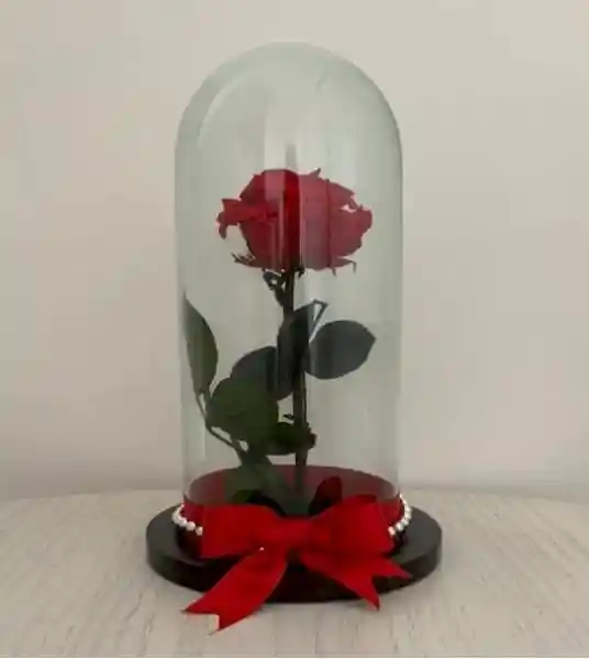 Amor Eterno Rosa Preservada Roja En Cúpula Cristal Y Madera