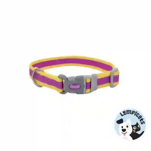 Coastal Perro Pro Morado Con Amarillo Collar Medium 3/4"