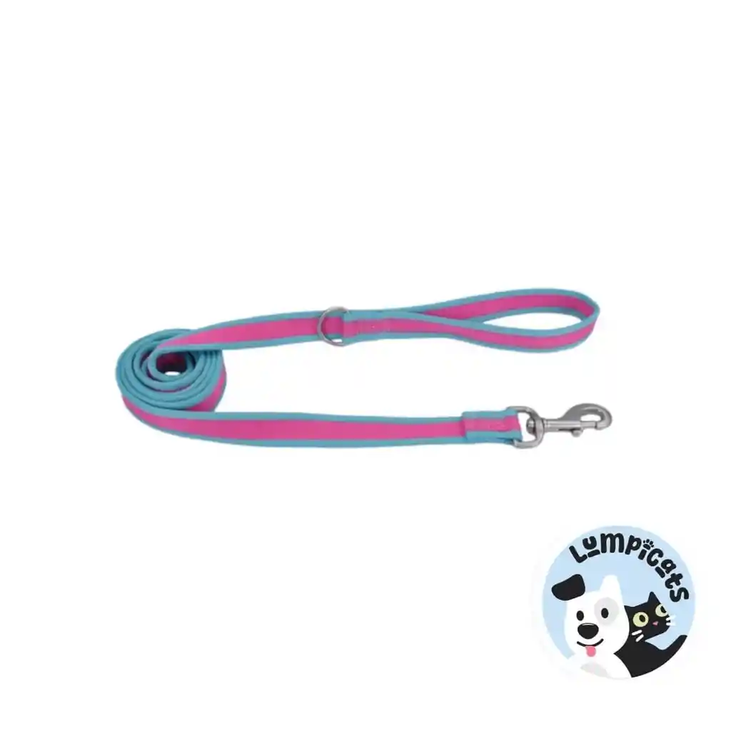 Coastal Perro Pro Fucsia Con Azul Correa Large 1"