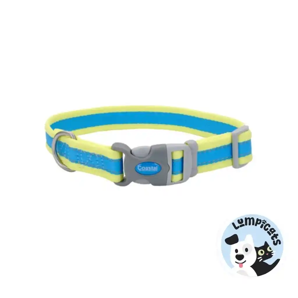 Coastal Perro Pro Azul Con Amarillo Neon Collar Medium 3/4"