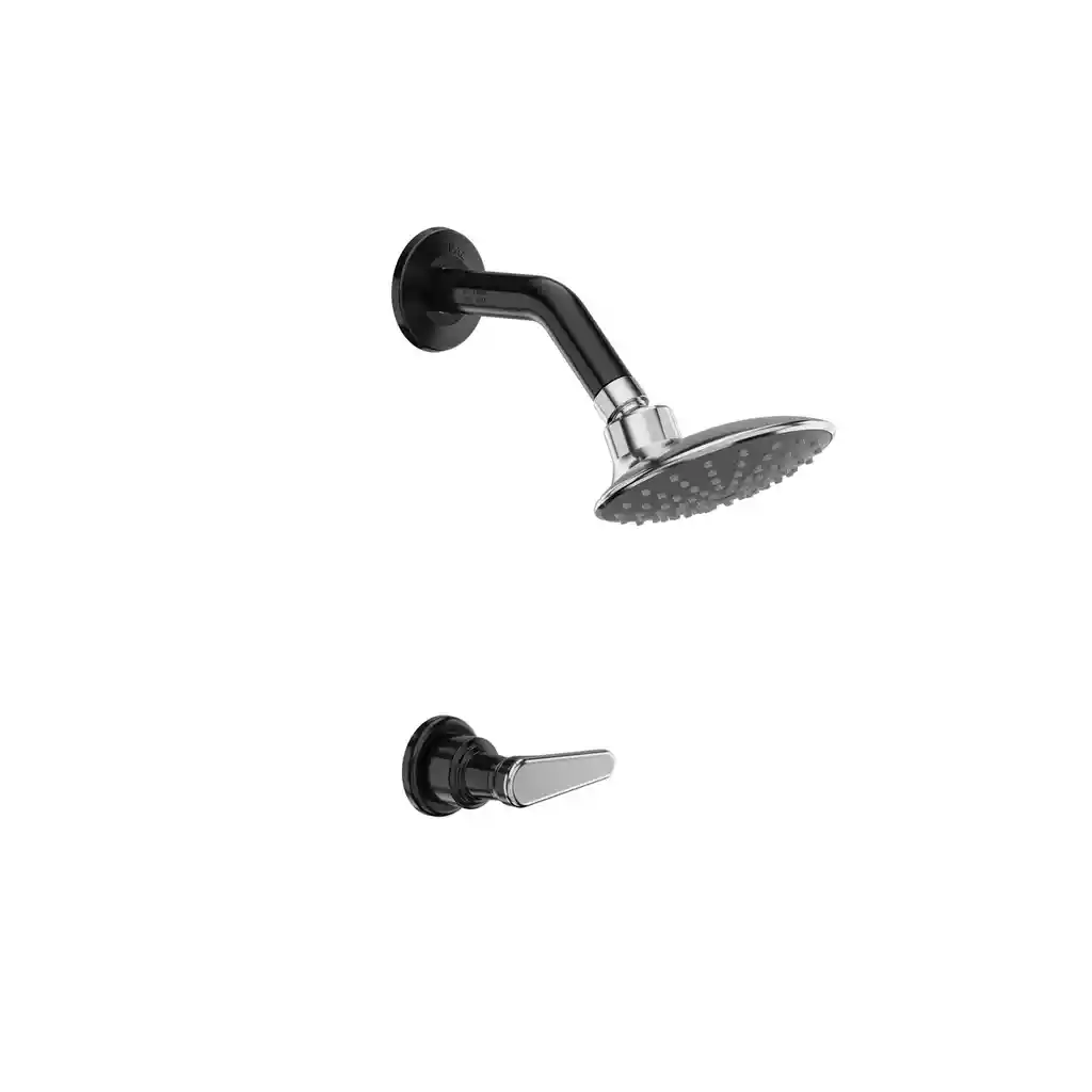 Ducha Nogal Sencilla Con Regadera Cosmos Negro