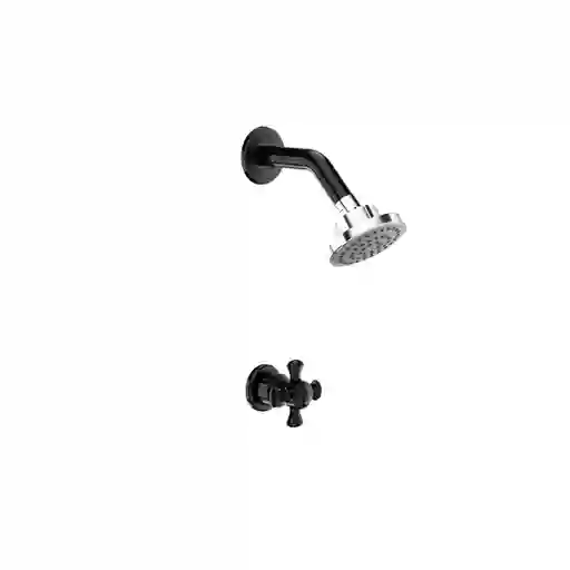 Ducha Balta Sencilla Cruceta Pro Con Regadera Dalia Negro