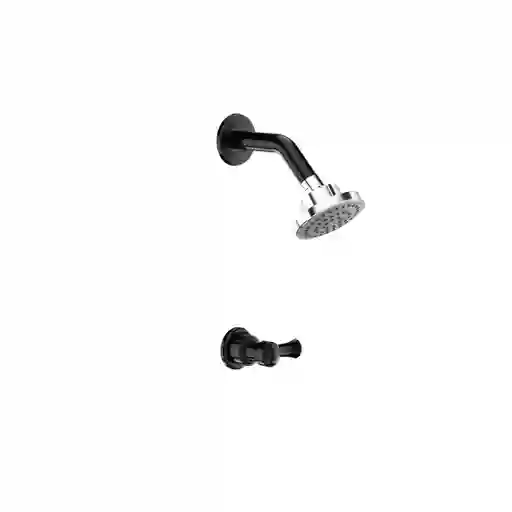 Ducha Balta Sencilla Palanca Pro Con Regadera Dalia Negro