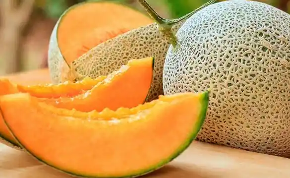 Melon