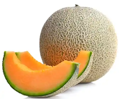 Melon