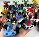 Carro Impulso Figura Muñeco Paw Patrol