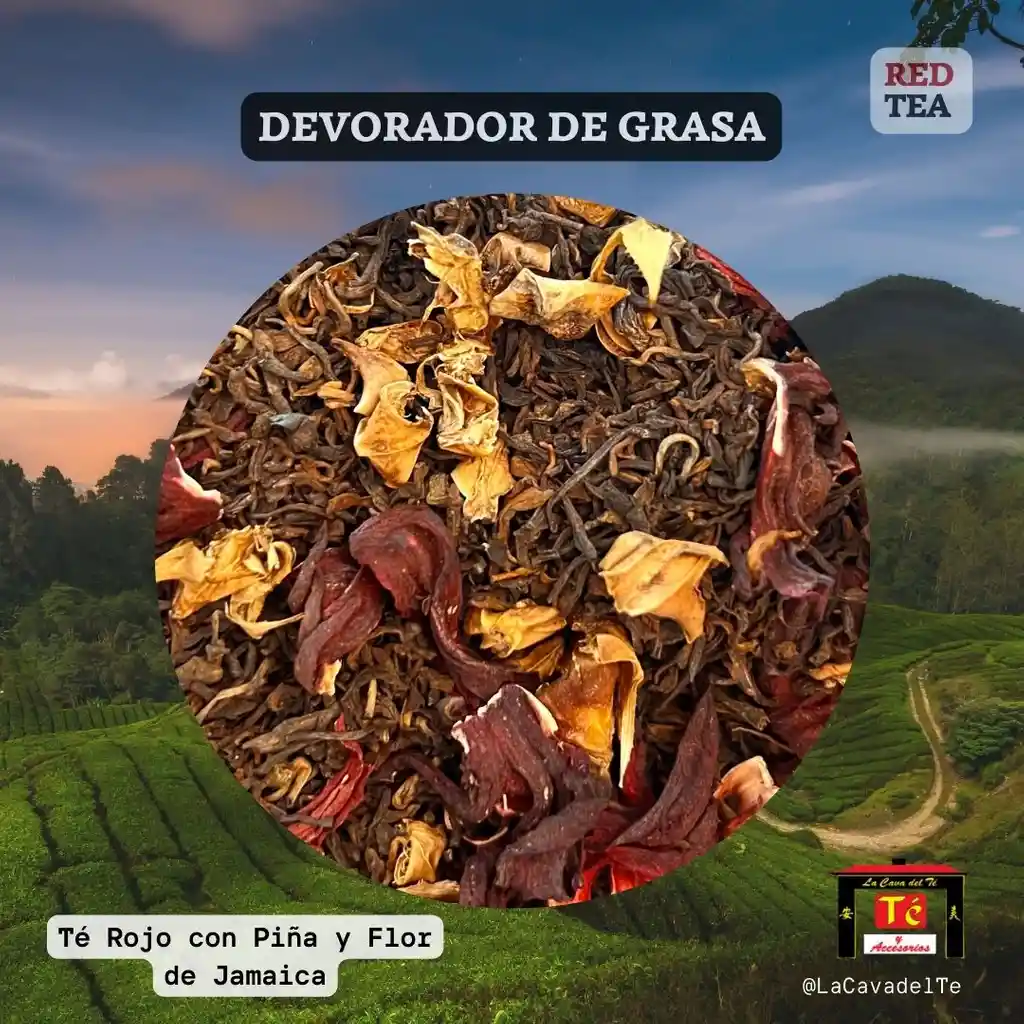 Devorador De Grasa