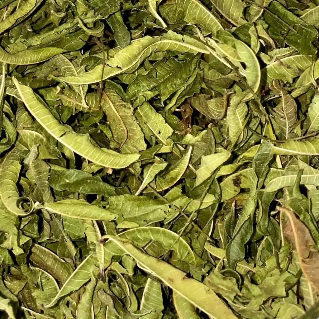 Cidrón Puro 100g