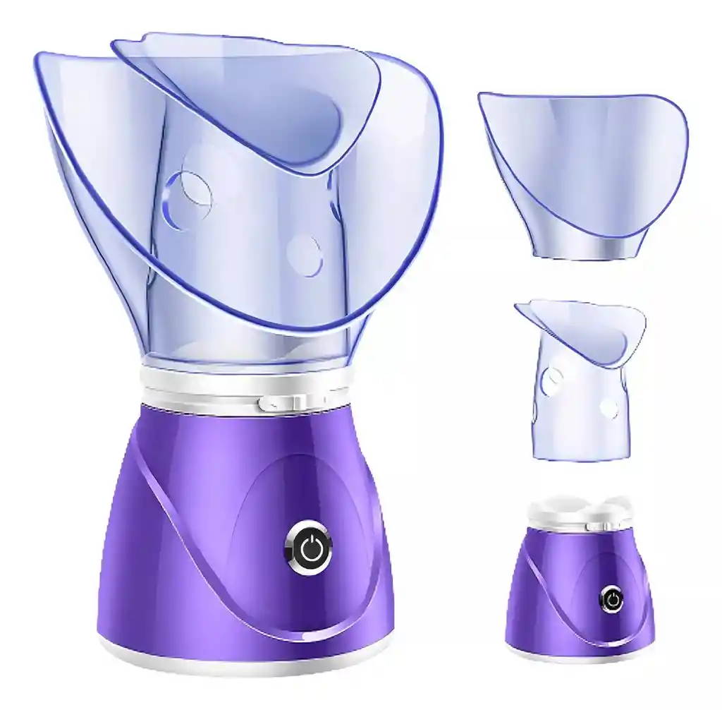 Vapor Ozono Facial Profesional Con Aromaterapia 110v