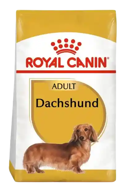 Royal Canin Dachshund Adulto 1,5 Kg