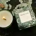 Armonía: Set X 4 Velas