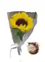 Girasol De La Suerte