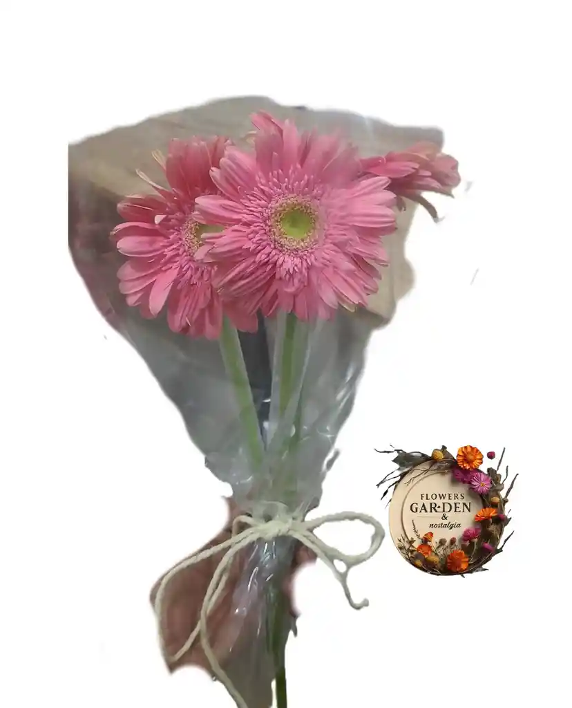 Gerberas Tres Joyas Rosadas