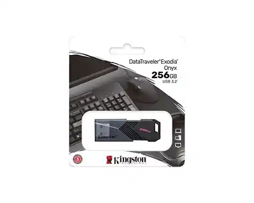 Memoria Usb Kingstone 256gb 3,2 / Onyx
