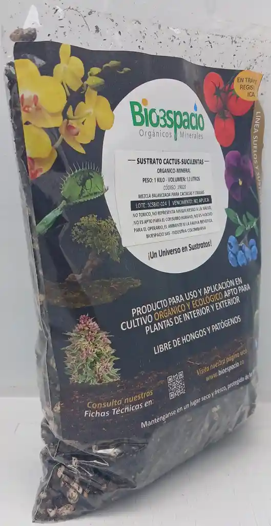 Cactus-suculentas 1 Kilo