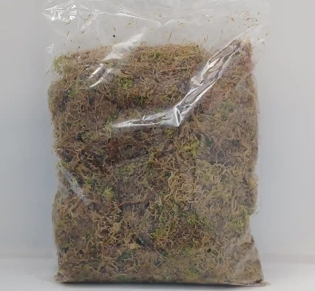 Musgo Sphagnum Deshidratado 1 Kilo