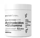 Aminoacido Y Glutamina X480 Gr Powerlab