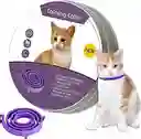 Calming Collar Con Feromonas Para Gato