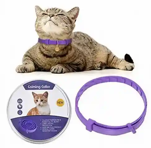 Calming Collar Con Feromonas Para Gato