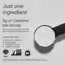 Creatina Monohidratada Sport Research 60 Servicios