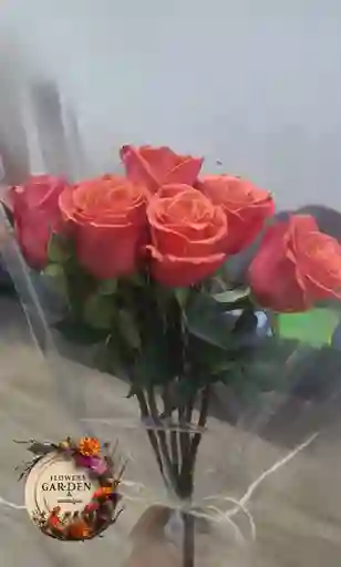 Ramo De Rosas Sencillo