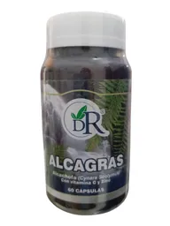 Alcagras: Alcachofa Con Vitamina C Y Zin X 60 Capsulas Dr Rojas