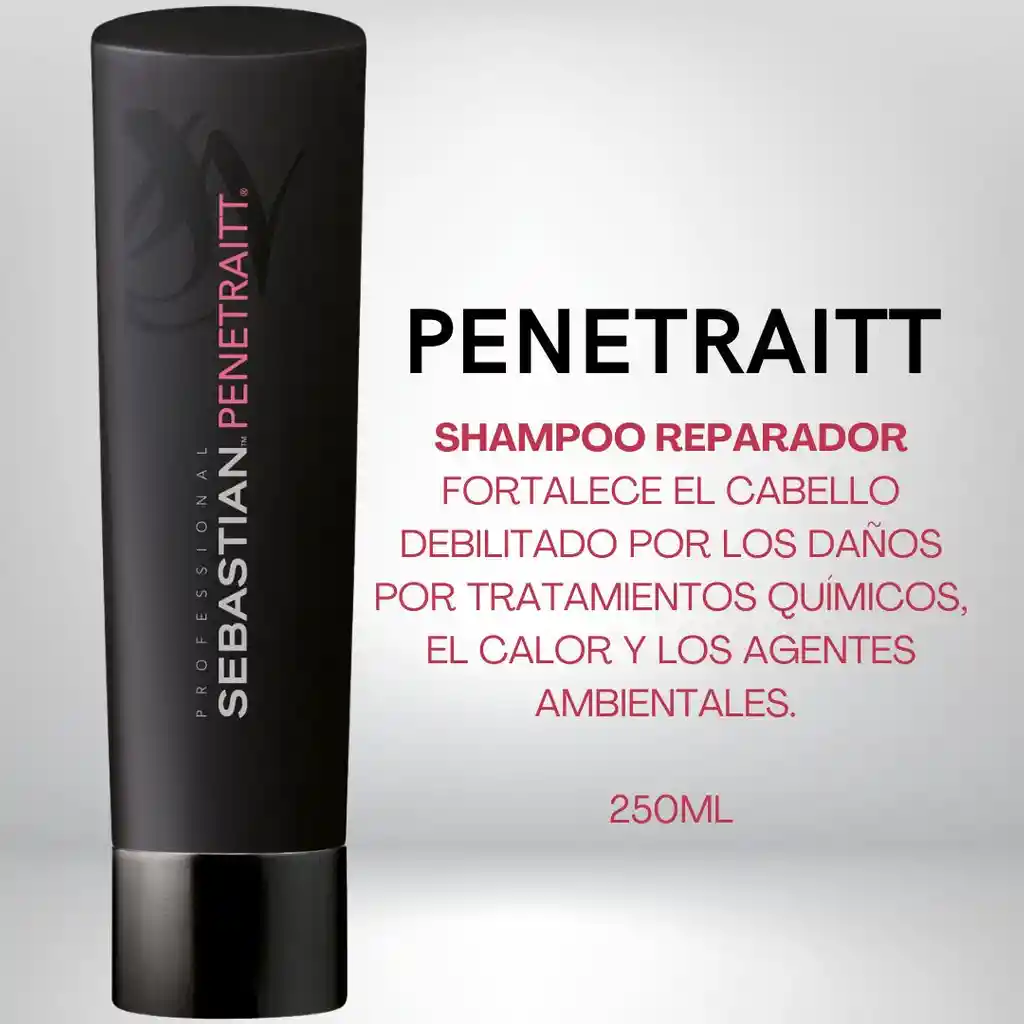 Shampoo Para Cabello Dañado - Sebastian Penetraitt