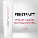 Acondicionador Reparador Sebastian Penetraitt