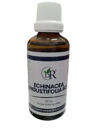 Echinacea Gotas Sublinguales X 50 Ml Dr Rojas