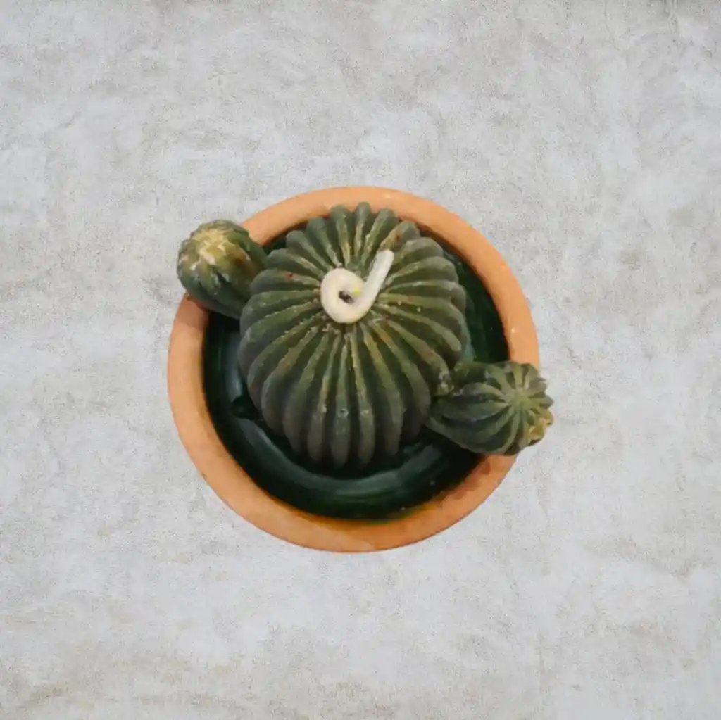 Vela Aromática Cactus