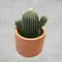 Vela Aromática Cactus