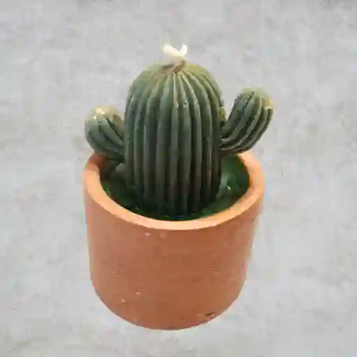 Vela Aromática Cactus